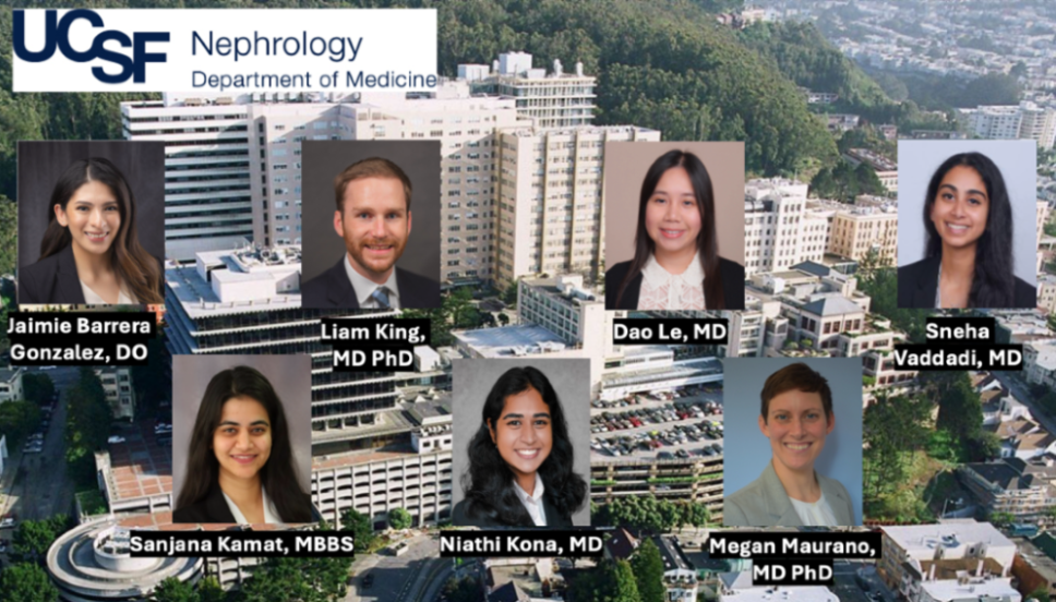 Nephrology Fellows